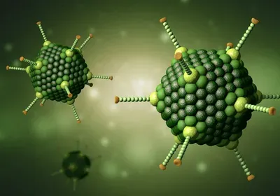 COVID-19, SARS-CoV-2, coronavirus, pandemic, Russia, vaccine, clinical trial, data, ethics, adenovirus, spike protein, Lancet